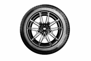 Triangle Tyre élargit son offre hivernale avec l’EffeXWinter TW421