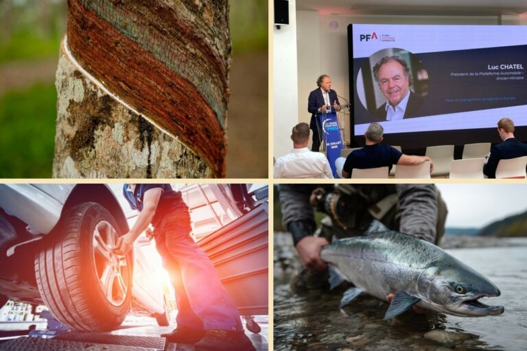 Pneumatique : les points marquants du marché 2025