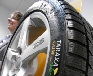 Continental façonne son premier pneu au latex de pissenlit